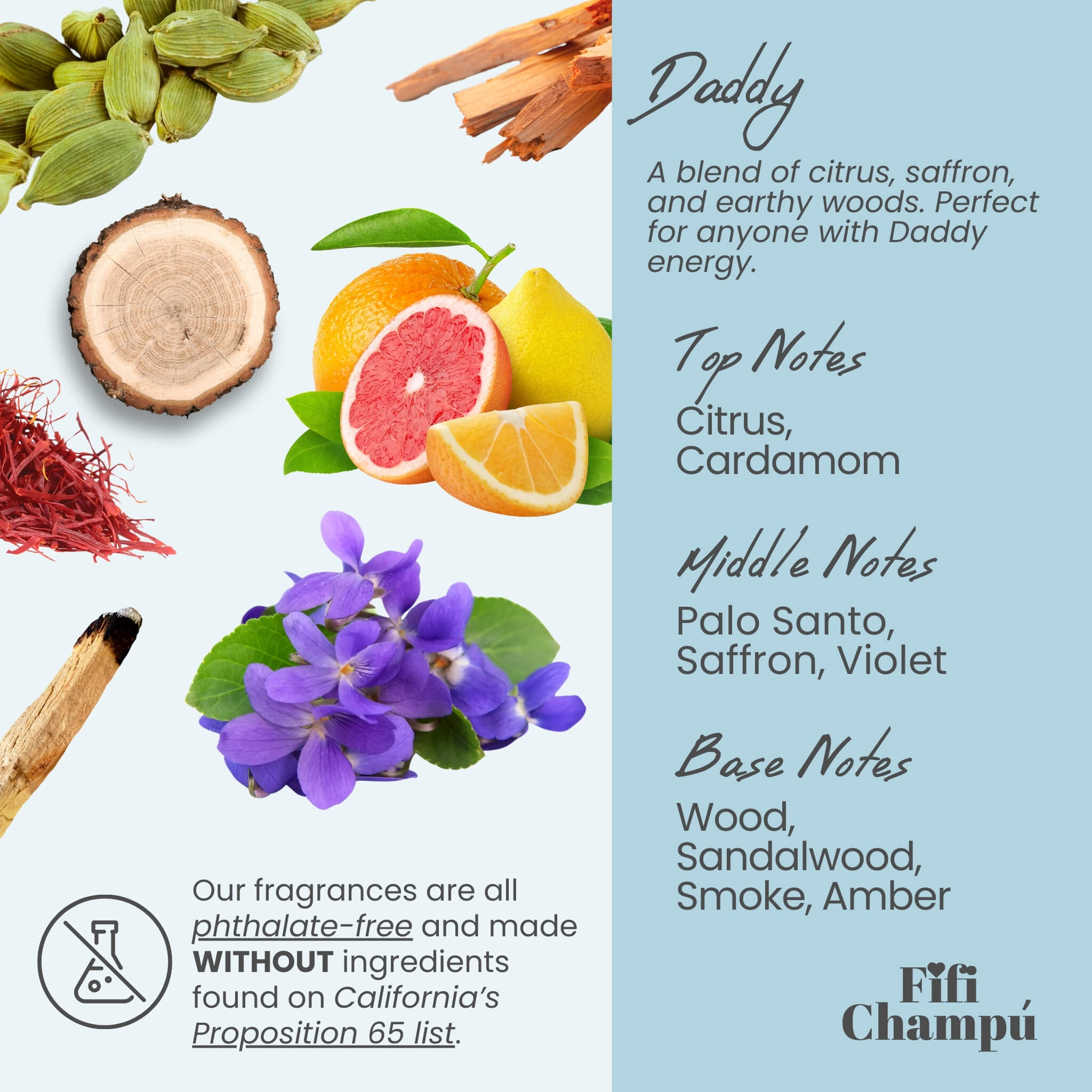 Daddy Shampoo Bar: The BEST Eco-Friendly Hair Care for Damaged and Frizzy Hair