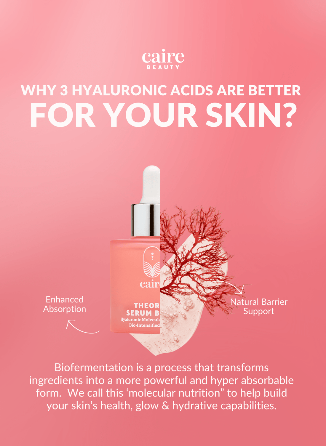 Theorem Serum Boost – Skincare Nourishing & Repair Serum